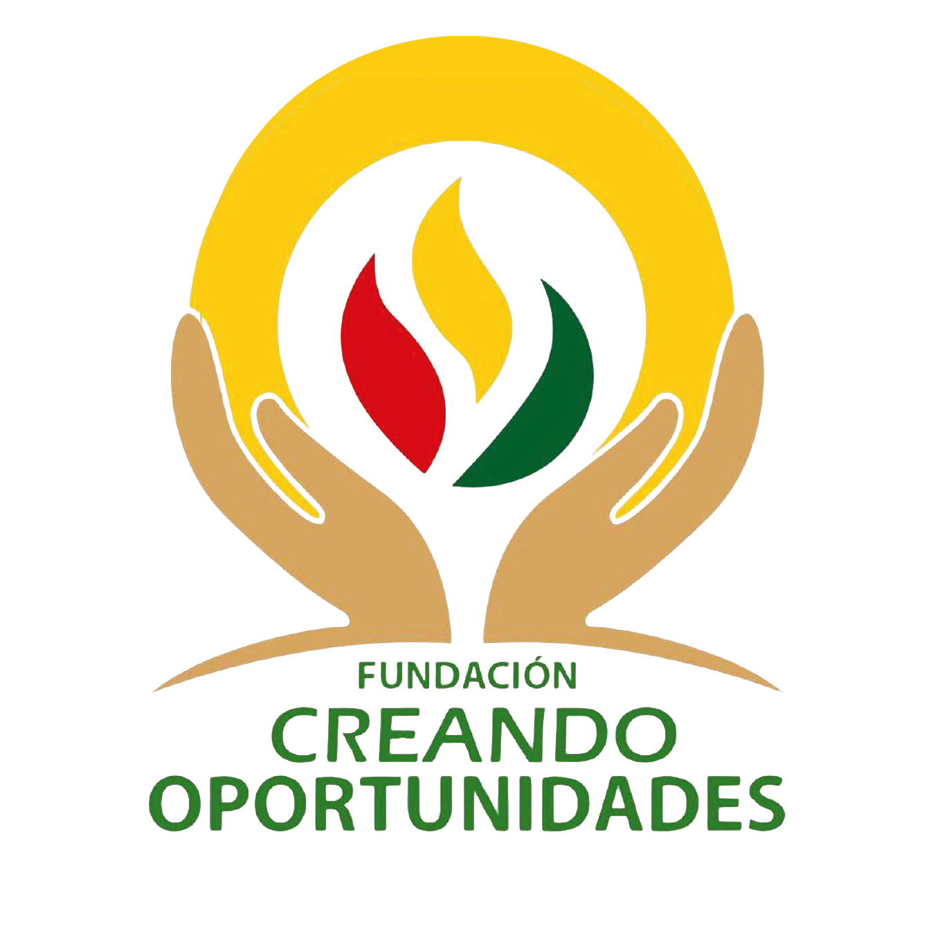 Fundacion Creando Oportunidades